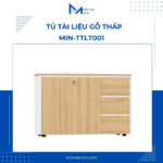 tủ tài liệu gỗ thấp