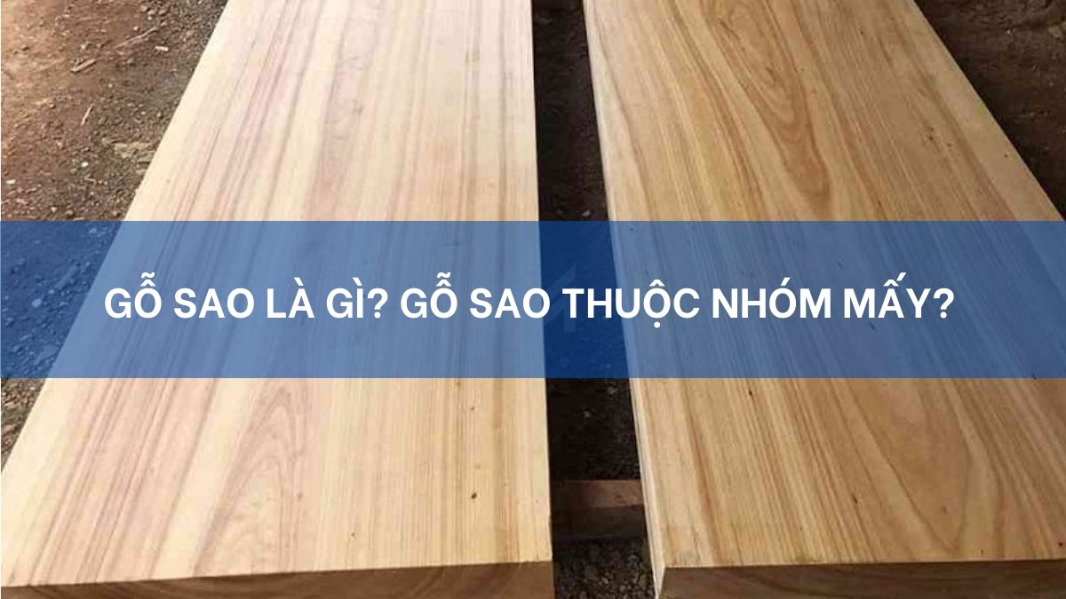 gỗ sao