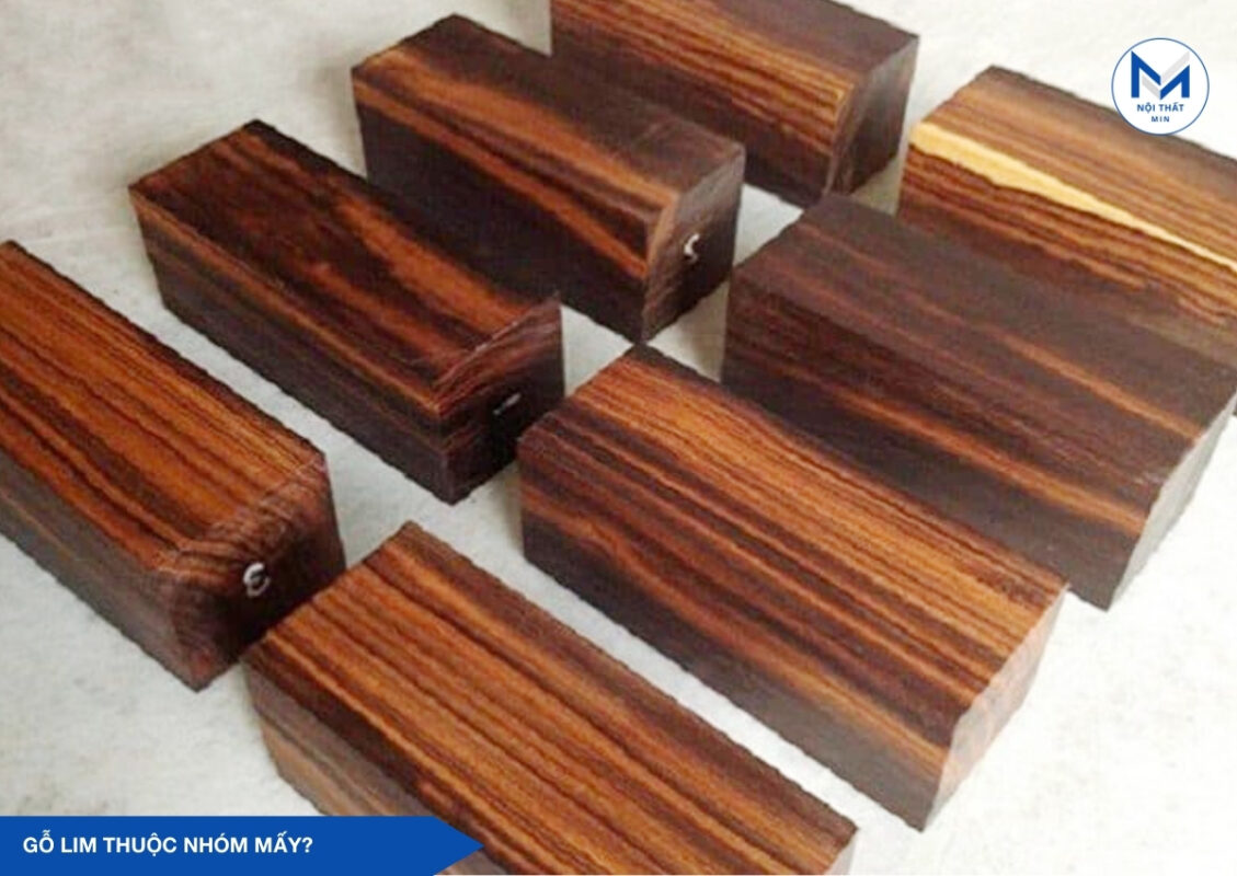 Gỗ Lim Thuộc Nhóm Mấy? gỗ lim thuộc nhóm mấy