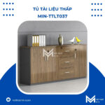 tủ tài liệu thấp