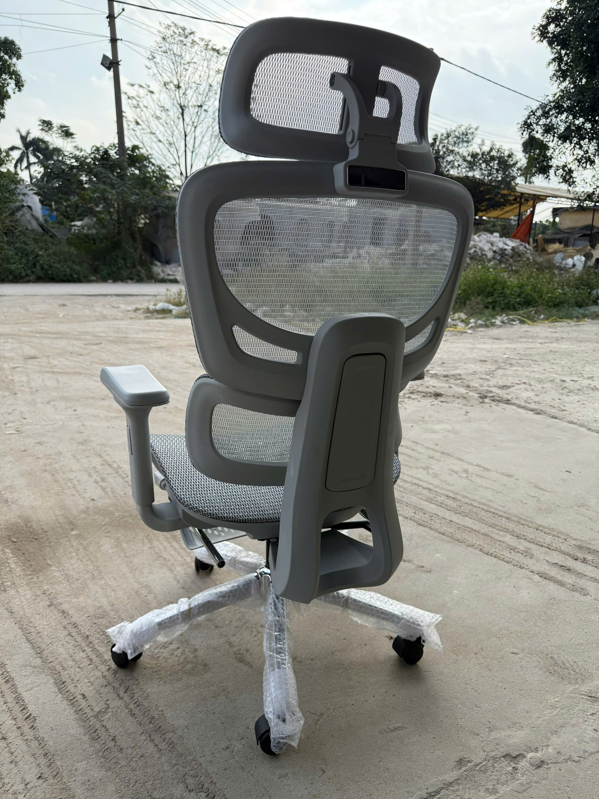 ghế công thái học
