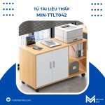 tủ tài liệu thấp